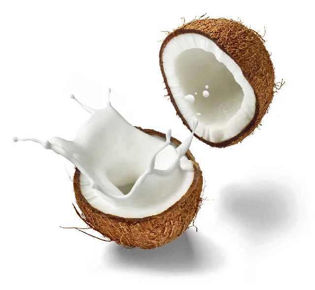 Indonesian coconut products